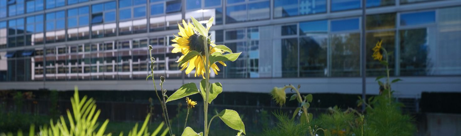 LRZ-Gebäude und grüne Wiese. Foto: V. Hohenegger | LRZ