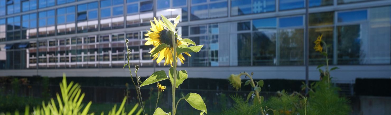 LRZ-Gebäude und grüne Wiese. Foto: V. Hohenegger | LRZ