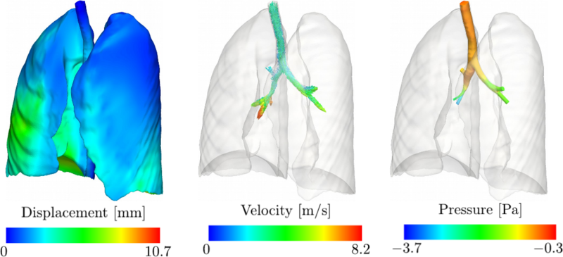 lung_simulations