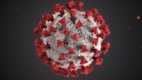 Coronavirus. Grafics: CDC/Unsplash